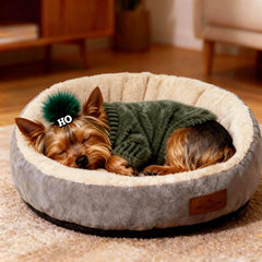 Hó Pêng-iú dog sweater green turtleneck detail showcasing adorable furry style for walks