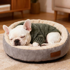 Hó Pêng-iú small dog furry pullover sweater green back view highlighting full-coverage warmth.