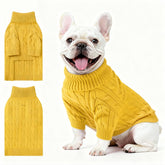 Ho Peng-iu small dog thermal pullover yellow front view keeps dogs warm on chilly walks