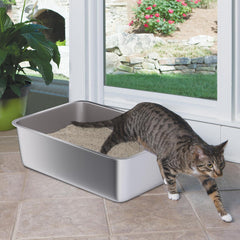 Holintan odor-minimized stainless litter box keeps smells manageable.