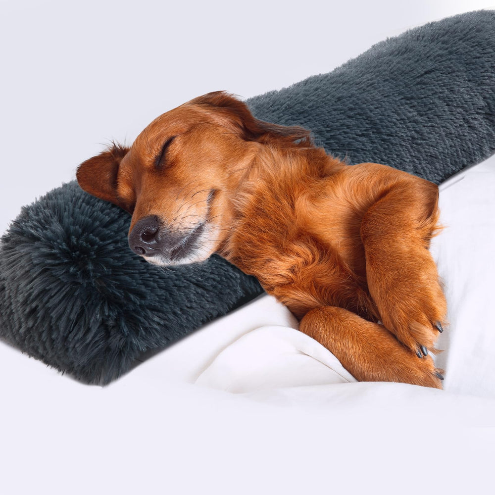 HOMBYS 25-inch dog pillow in dark grey front view, plush comfort for calming naps