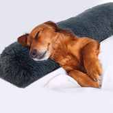 HOMBYS 25-inch dog pillow in dark grey front view, plush comfort for calming naps