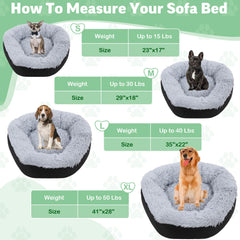 HOMBYS Indestructible Dog Bed demonstrates orthopedic support along raised edges for neck comfort.