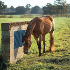 homcare scratch pad durable premium rubber material for livestock grooming