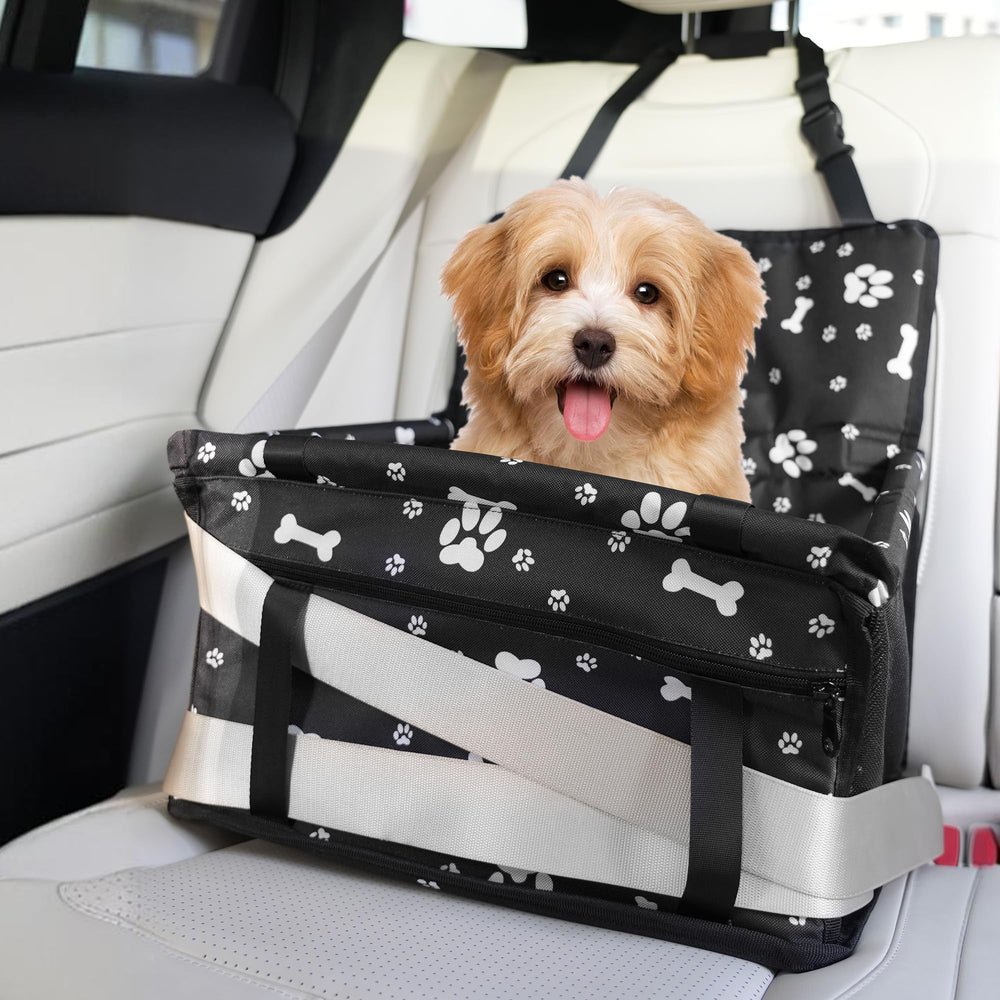 Homcolorful dog car seat front view for secure travel with small dogs
