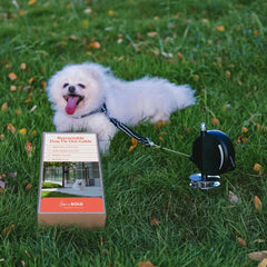 Home in Bold glow-in-the-dark retractable dog line enhances nighttime visibility during outdoor adventures.