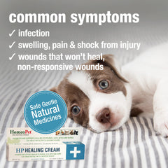 Close-up of HomeoPet HP Healing Cream ingredients label, natural safe formula