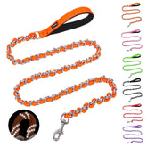 Homimp chew-proof dog leash shows six-foot length for medium to large dogs, offering controlled freedom.