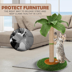 HOMYHANDS hanging-balls-play features two interactive toys to attract and entertain kittens.