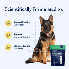 Honest Paws Probiotics chicken-flavor powder boosts palatability while supporting gut balance.