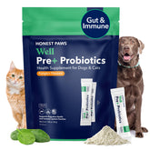 Honest Paws Probiotics for Dogs powder bottle supports digestive balance and immune health.