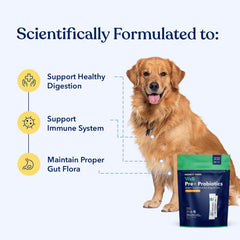 Honest Paws probiotics powder with spoon offers easy daily dosing for gut health.