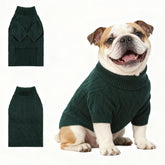 Hó Pêng-iú dog sweater front view in green shows cozy warmth for daily walks