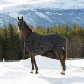 HORZE Nevada lightweight stable blanket front buckles for quick secure fit