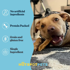 Hotspot Pets beef trachea dental health: promotes healthy teeth through chewing