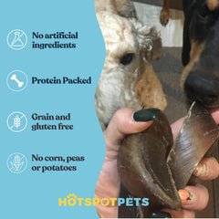 Hotspot Pets cow hooves for dogs bulk pack affordable chews