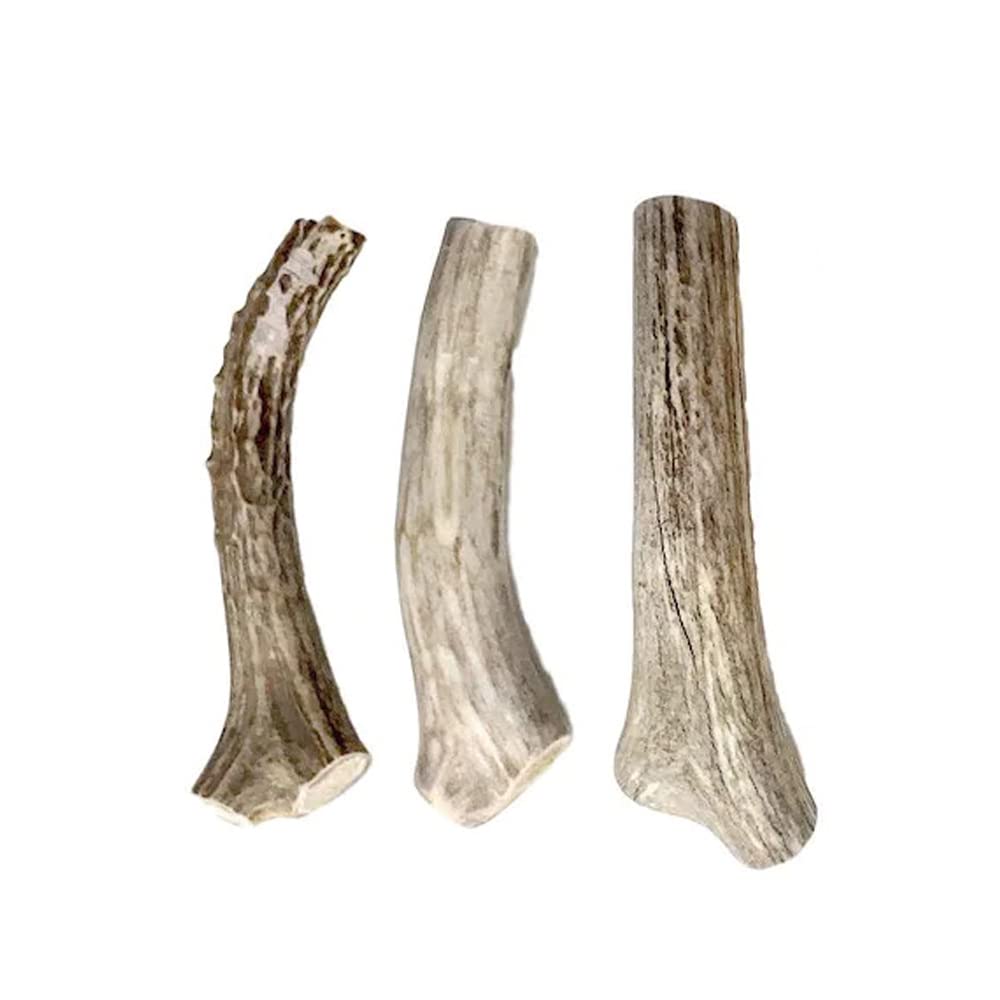 Hotspot Pets deer antler pack for dogs, three-pack, ideal boredom relief