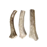 Hotspot Pets deer antler pack for dogs, three-pack, ideal boredom relief
