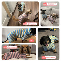 HowlyWoof Dachshund Shirt Classic-Stripes versatile daily style
