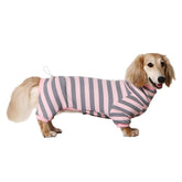 HowlyWoof Dachshund Shirt Tailored-Fit shows snug base layer for dachshunds