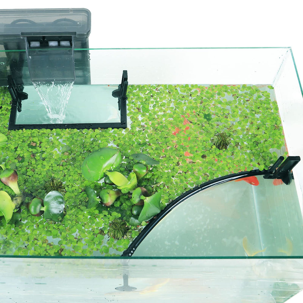 HOZOE aquarium floating plant corral fence helps manage surface duckweed in tanks.