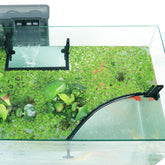 HOZOE aquarium floating plant corral fence helps manage surface duckweed in tanks.