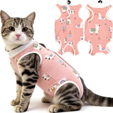 Hpetppy traje recuperación gato, vista frontal, protegiendo la herida y facilita la curación