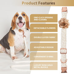 HQREA adjustable sizes S/M/L fit a wide range of dogs for comfort.