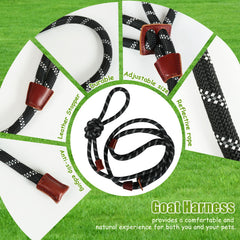 HRYOML reflective leash improves night visibility for safer walks.
