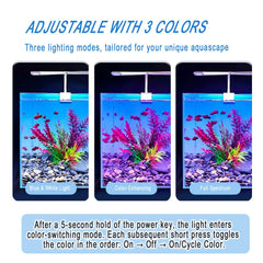 HSIFMATE full-spectrum light showcases vivid colors and plant life.