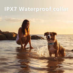 Htcuto 185-day standby battery life keeps collars ready on trips.