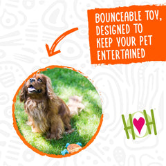 HuggleHounds Huggle-Fusion Dude Turtle Ruff-Tex rubber focus for chew resistance.