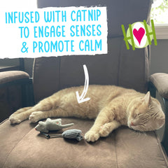 HuggleKats Mightie Mice teething-friendly design withstands chewing
