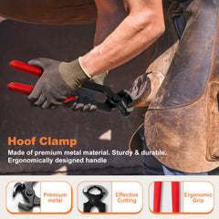 Huimpet farrier kit hoof-rasp shown for quick shaping and smoothing of hooves
