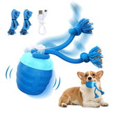 Huimpet interactive dog ball blue front view promotes active play and mental stimulation.