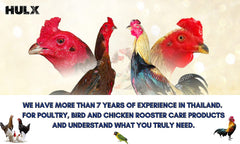 HULX Super Green 10cc bottle with rooster in a farm setting signals practical poultry care.