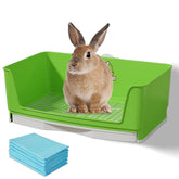 Humorous.P rabbit litter box green front view for roomy space and easy access
