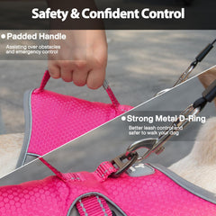 Huntboo belly-strap detail helps keep your dog secure during walks