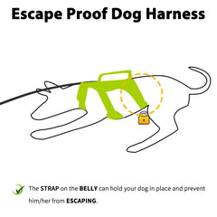 Huntboo escape-proof dog harness back view highlights sturdy construction