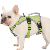 Huntboo escape-proof dog harness front view shows secure fit for daily walks