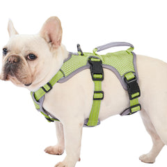 Huntboo escape-proof dog harness front view shows secure fit for daily walks