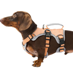 Huntboo escape-proof harness orange front view shows secure fit for walks