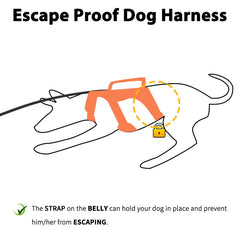 Huntboo escape-proof harness orange side view highlights belly strap for escape prevention