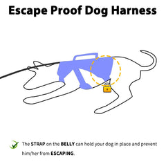 Huntboo escape-proof harness back view highlights sturdy D-ring for reliable leash attachment.