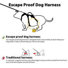 Huntboo escape-proof harness back view shows durable straps for secure daily wear.