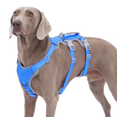 Huntboo escape-proof harness with breathable mesh for comfortable walks.