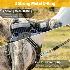 Huntboo five-point adjustable harness offering snug fit as dog grows