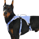 Huntboo Escape Proof Harness front view shows secure fit for safer daily walks