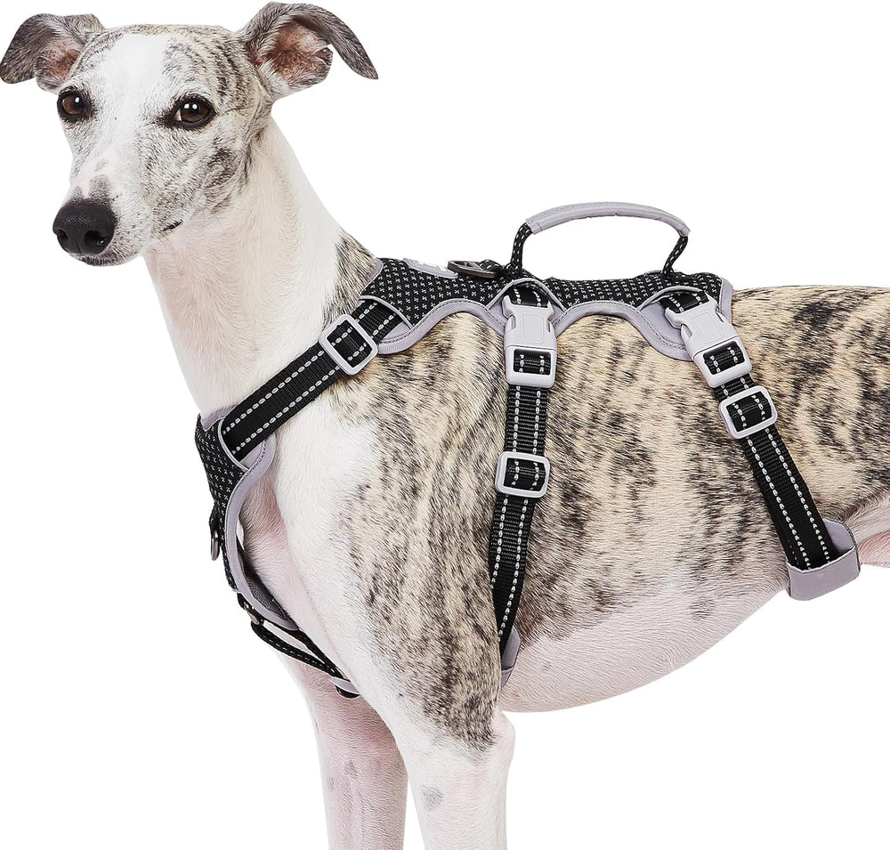 Huntboo escape proof harness front view for secure daily walks.