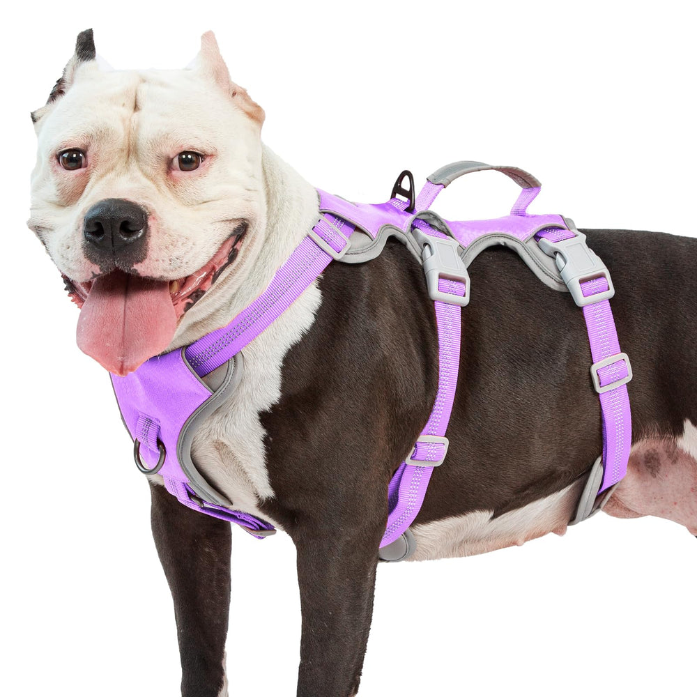 Huntboo Escape Proof Harness front view shows secure fit with reflective safety for night walks.